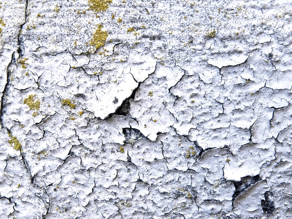 Damp and Mould on Walls in Cairo Homes: Why It Keeps Coming Back