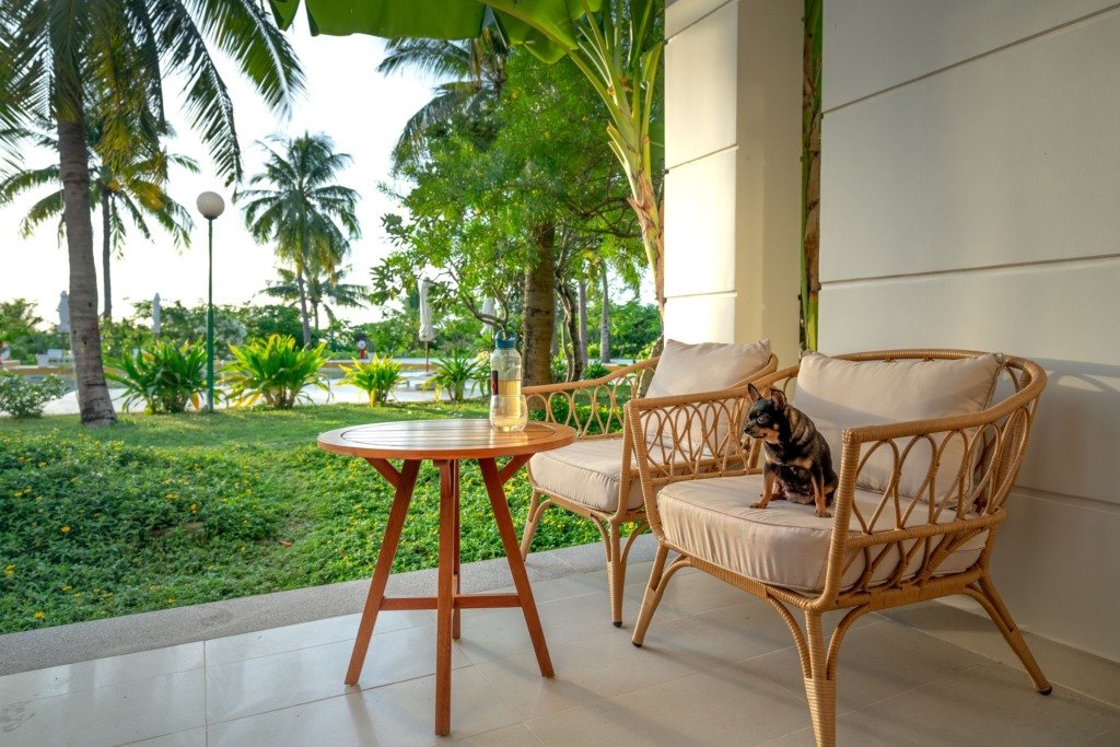 Choosing Outdoor Furniture for a Cairo Terrace